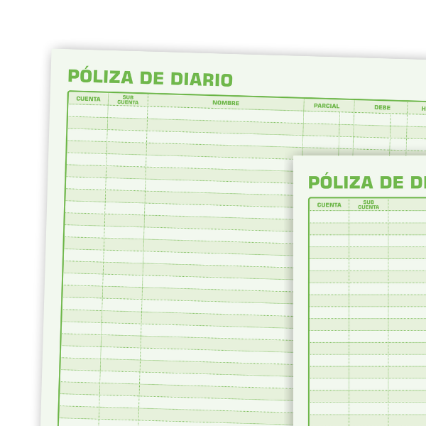 POLIZA DE DIARIO 1002 SEGURIDAD CTA. 50H. E.3 C.51